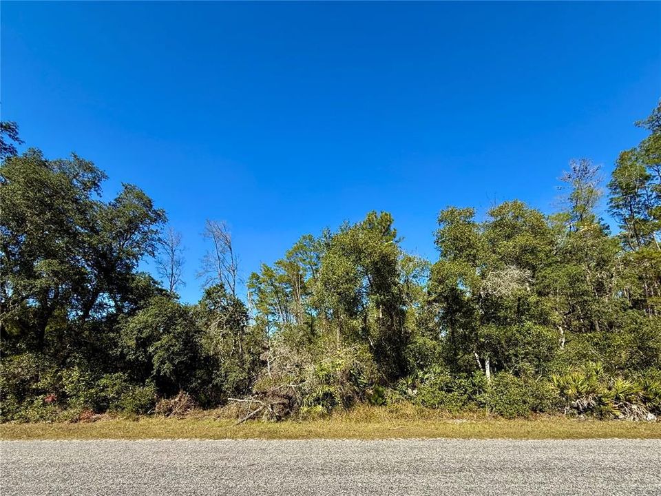 待售: $99,000 (1.00 acres)