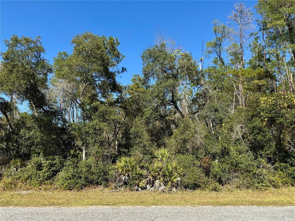 待售: $99,000 (1.00 acres)