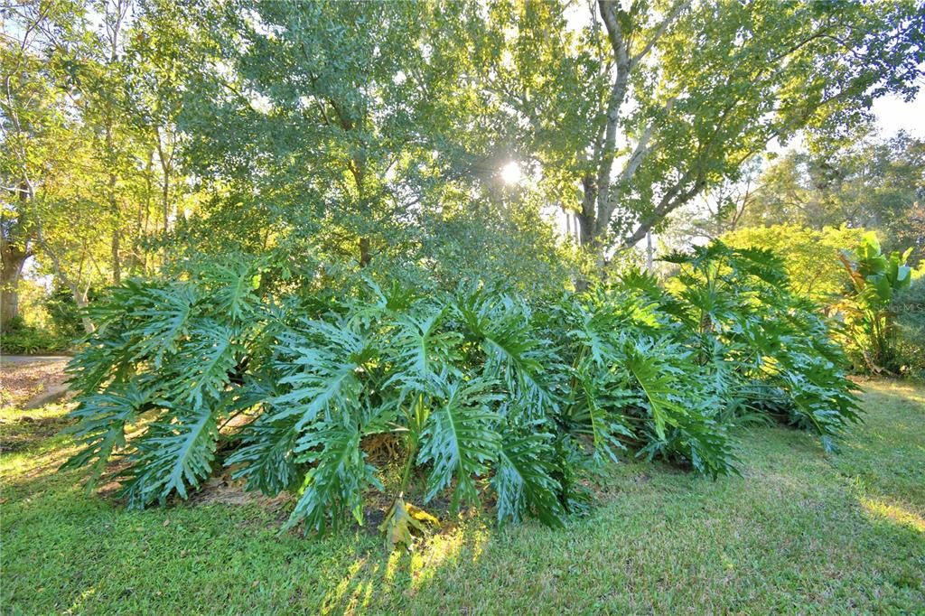 待售: $285,000 (2 贝兹, 2 浴室, 1858 平方英尺)