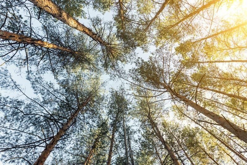 待售: $31,900 (0.25 acres)