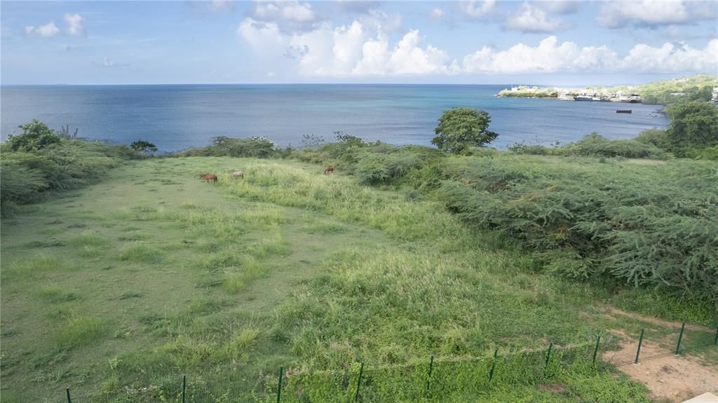 For Sale: $400,000 (0.70 acres)