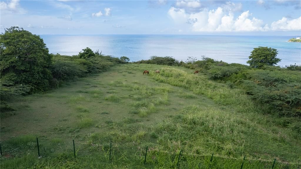 For Sale: $400,000 (0.70 acres)