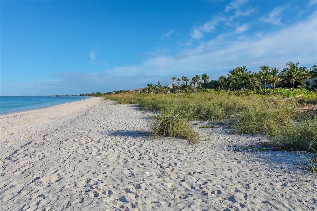 For Rent: $1,850 (2 beds, 1 baths, 1000 Square Feet)