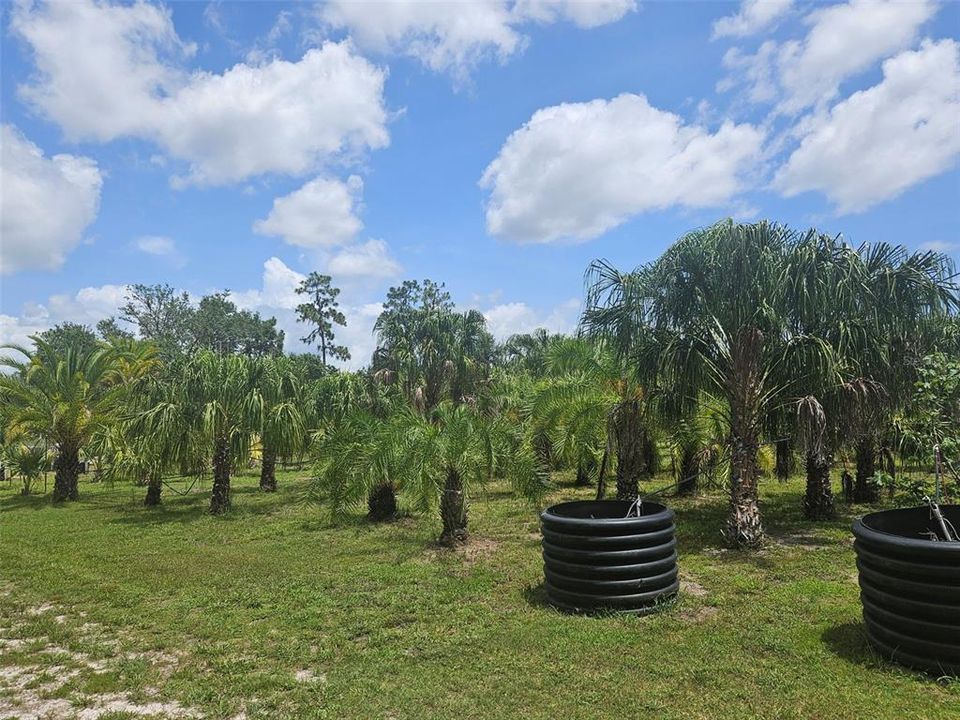 待售: $850,000 (4.96 acres)