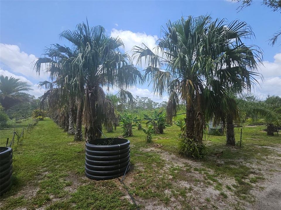 待售: $850,000 (4.96 acres)