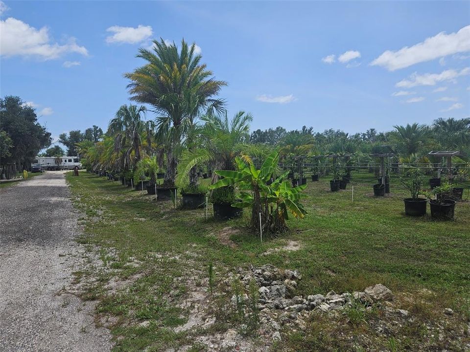 待售: $850,000 (4.96 acres)