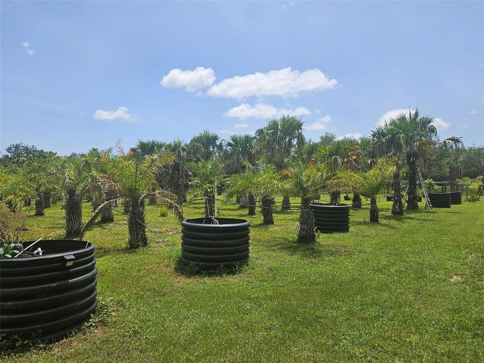 待售: $850,000 (4.96 acres)