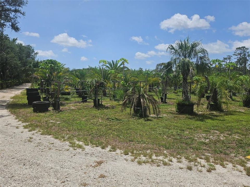 待售: $850,000 (4.96 acres)