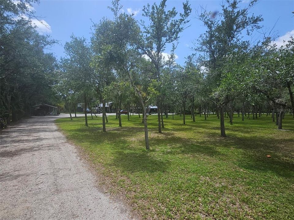 待售: $850,000 (4.96 acres)