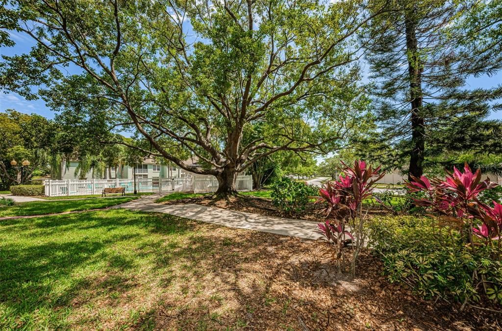 For Sale: $239,000 (3 beds, 2 baths, 1190 Square Feet)