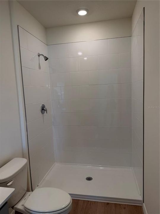 出租: $2,600 (3 贝兹, 2 浴室, 1673 平方英尺)