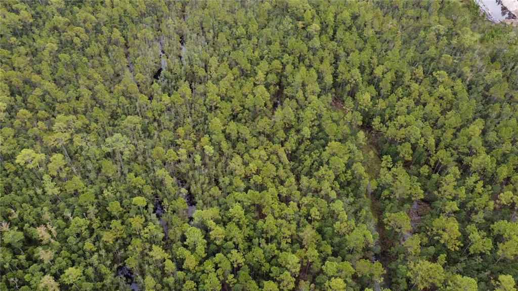 На продажу: $700,000 (3 спален, 2 ванн, 2262 Квадратных фут)