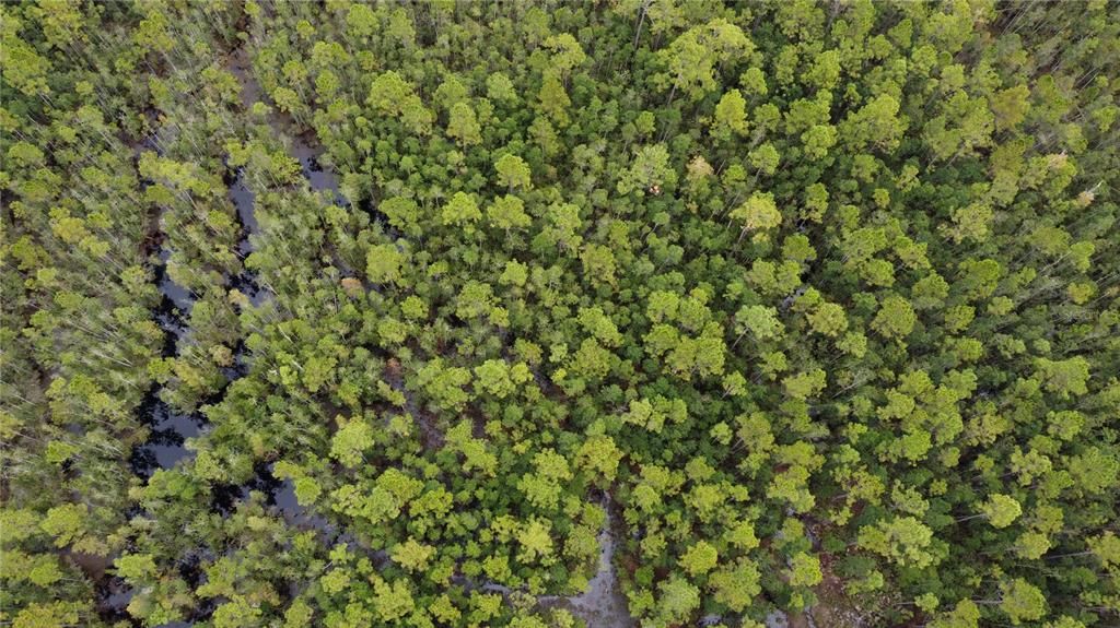 На продажу: $700,000 (3 спален, 2 ванн, 2262 Квадратных фут)