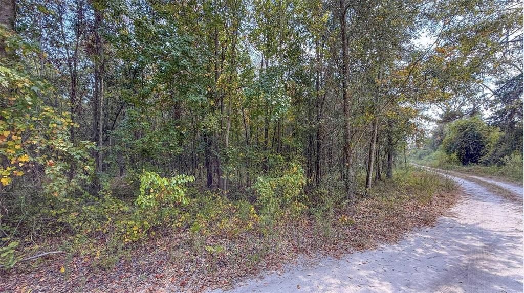 For Sale: $120,000 (11.51 acres)