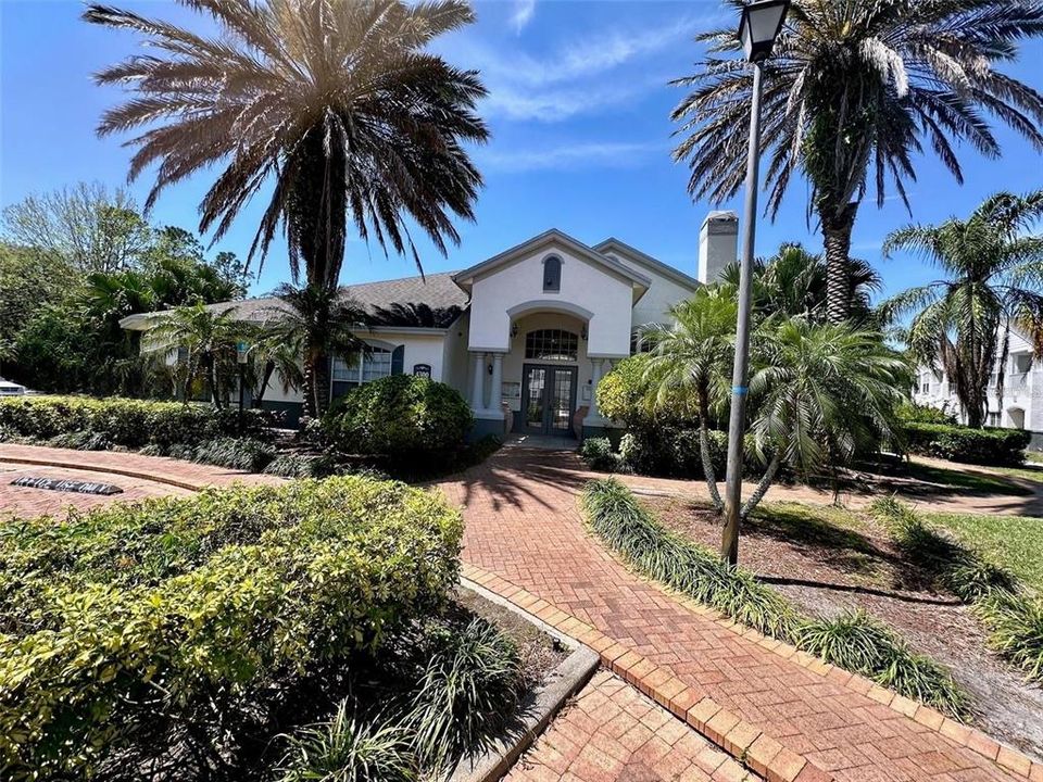 出租: $1,350 (1 贝兹, 1 浴室, 779 平方英尺)