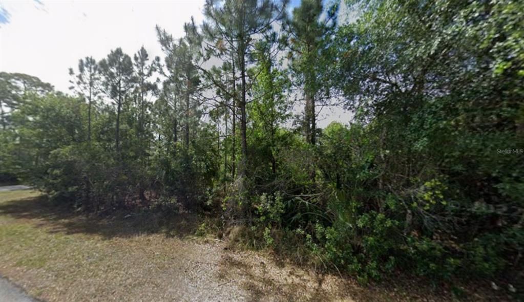 For Sale: $20,500 (0.30 acres)