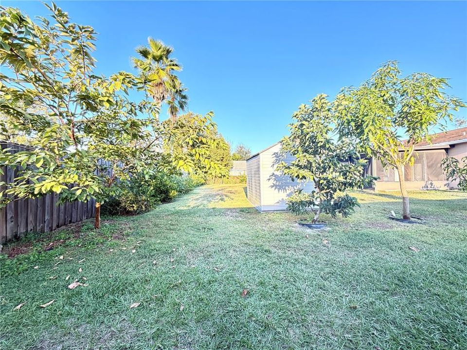 For Rent: $2,400 (3 beds, 2 baths, 1238 Square Feet)