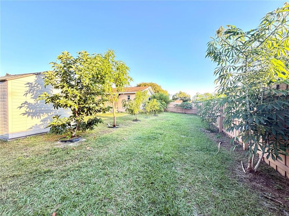 For Rent: $2,400 (3 beds, 2 baths, 1238 Square Feet)