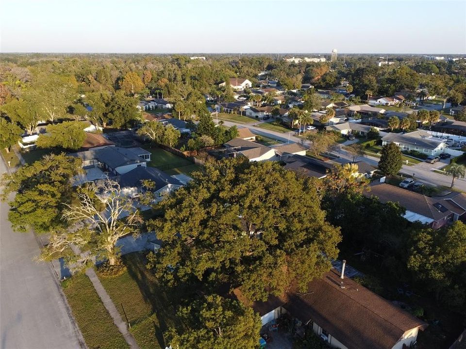 For Rent: $2,400 (3 beds, 2 baths, 1238 Square Feet)