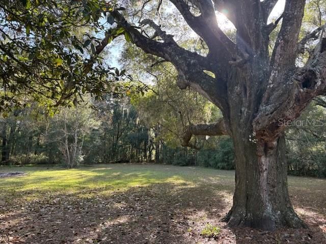 En Venta: $279,000 (2 camas, 2 baños, 1026 Pies cuadrados)