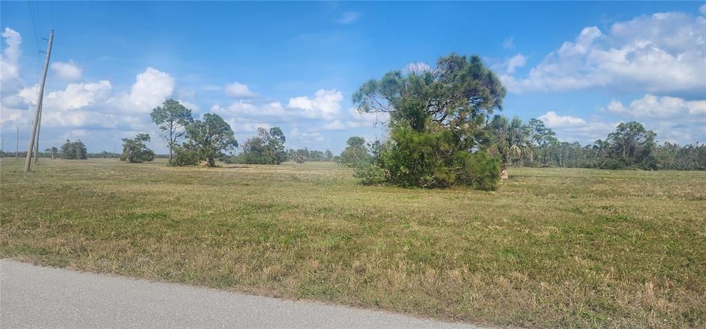 На продажу: $19,500 (0.17 acres)