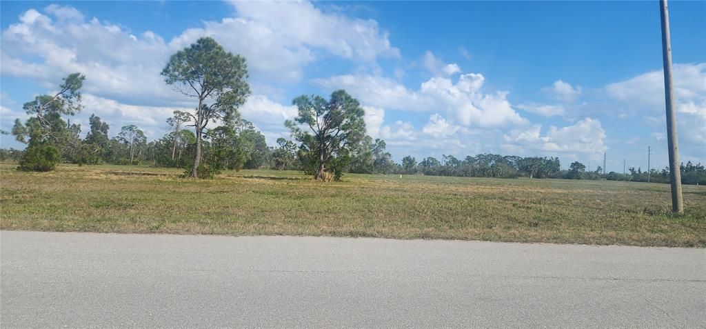 На продажу: $19,500 (0.17 acres)