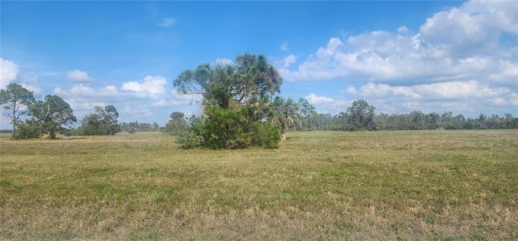 На продажу: $19,500 (0.17 acres)