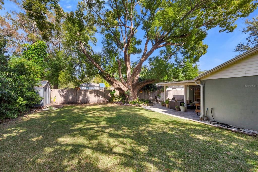 For Sale: $435,000 (3 beds, 2 baths, 1634 Square Feet)