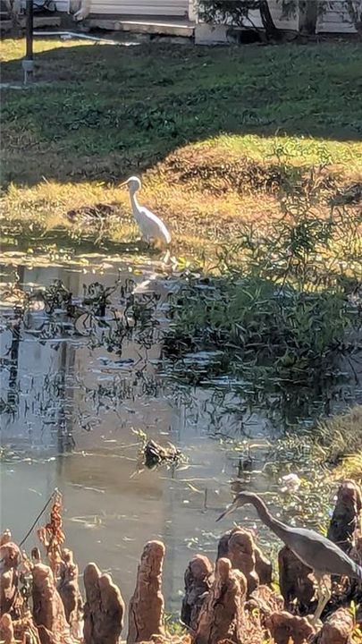 For Sale: $130,000 (2 beds, 2 baths, 864 Square Feet)