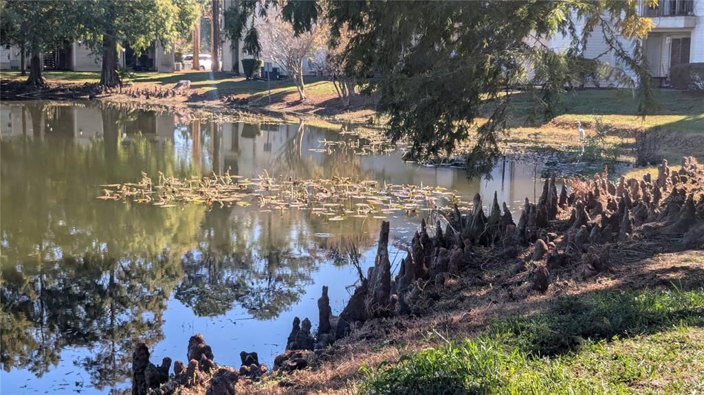 For Sale: $130,000 (2 beds, 2 baths, 864 Square Feet)