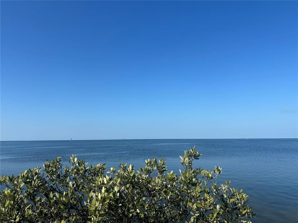 待售: $235,000 (0.17 acres)