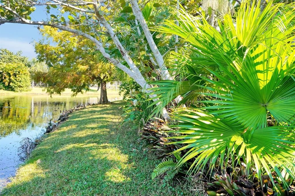 Activo con contrato: $585,000 (4 camas, 2 baños, 2115 Pies cuadrados)