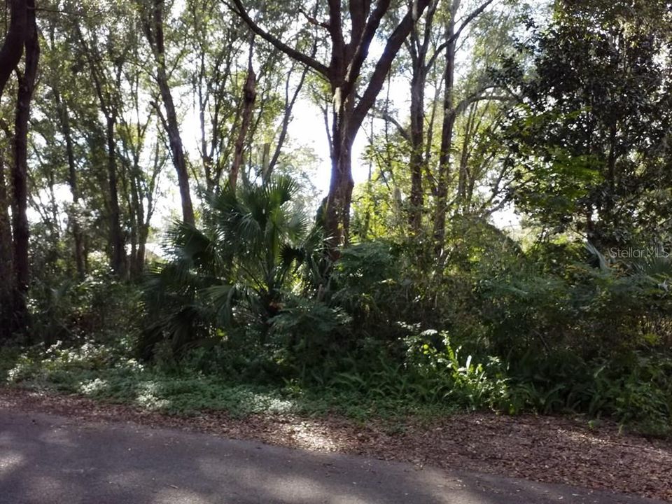 Под контрактом: $28,000 (0.15 acres)