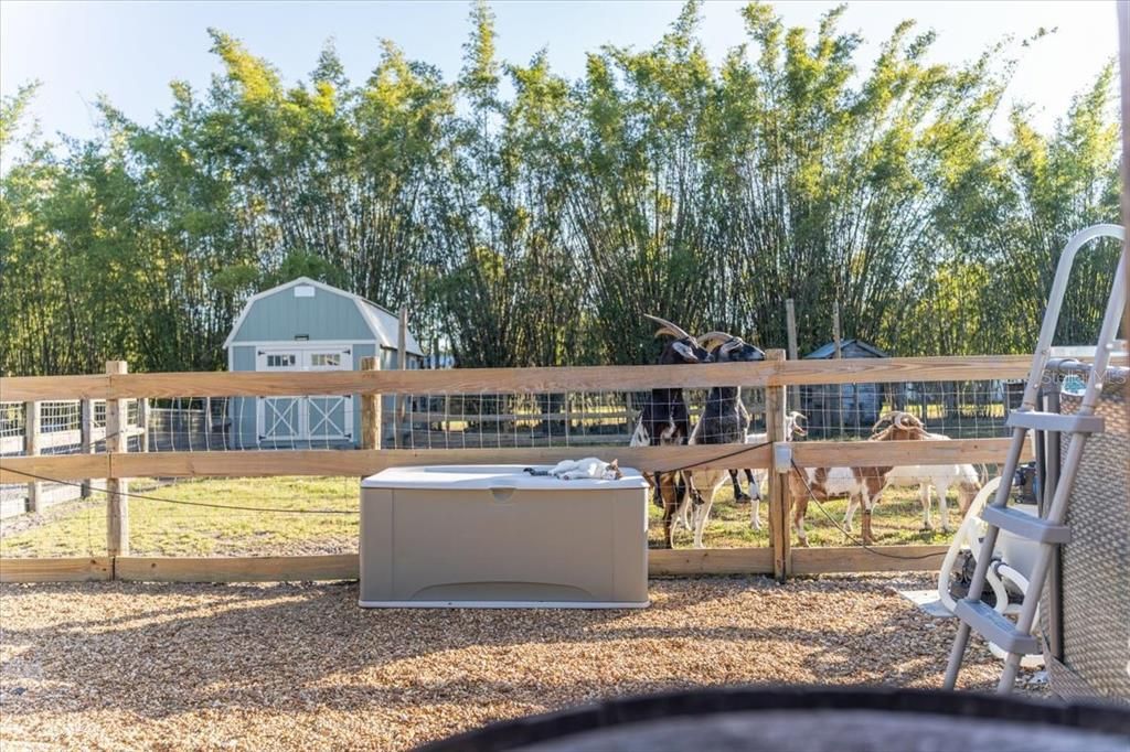 For Sale: $649,900 (4 beds, 2 baths, 2276 Square Feet)