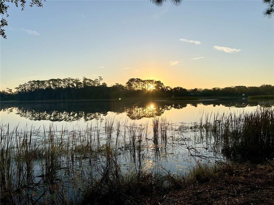 待售: $899,000 (25.52 acres)