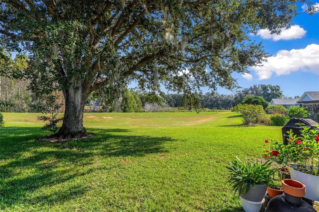 For Sale: $329,000 (3 beds, 2 baths, 2077 Square Feet)