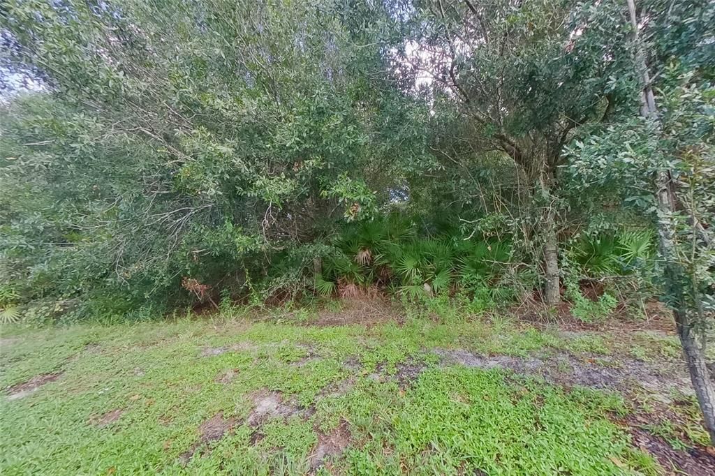 En Renta: $1,690 (3 camas, 2 baños, 1400 Pies cuadrados)