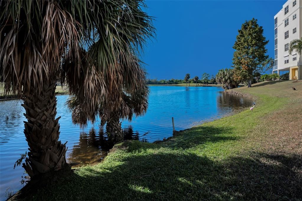 For Sale: $369,000 (2 beds, 2 baths, 1320 Square Feet)