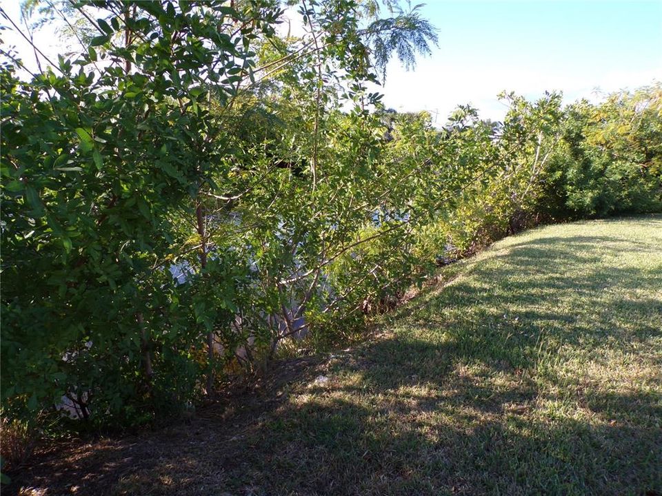 For Sale: $159,000 (0.29 acres)