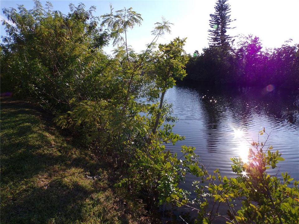 For Sale: $159,000 (0.29 acres)