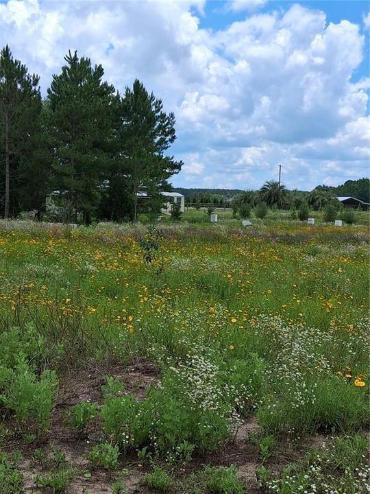 待售: $175,000 (5.13 acres)