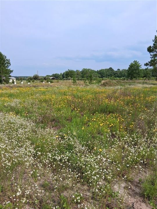 待售: $175,000 (5.13 acres)