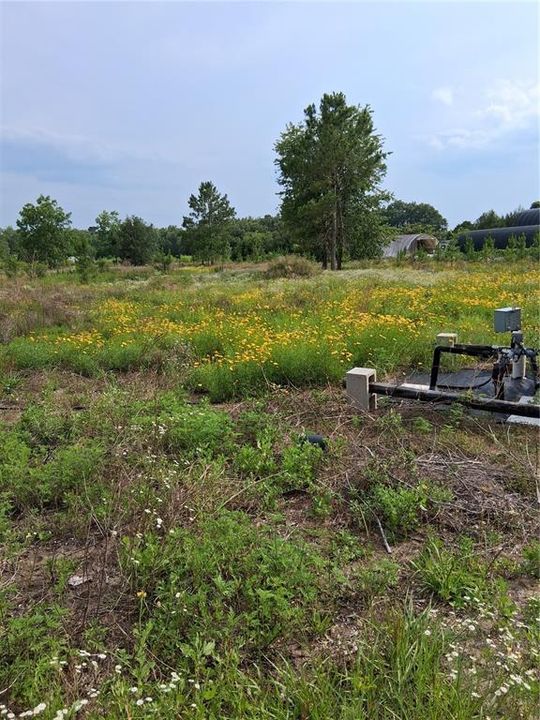 待售: $175,000 (5.13 acres)