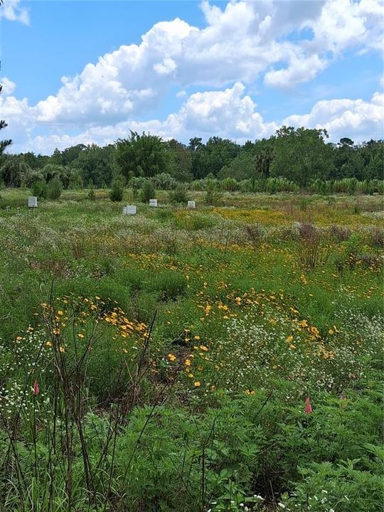 待售: $175,000 (5.13 acres)