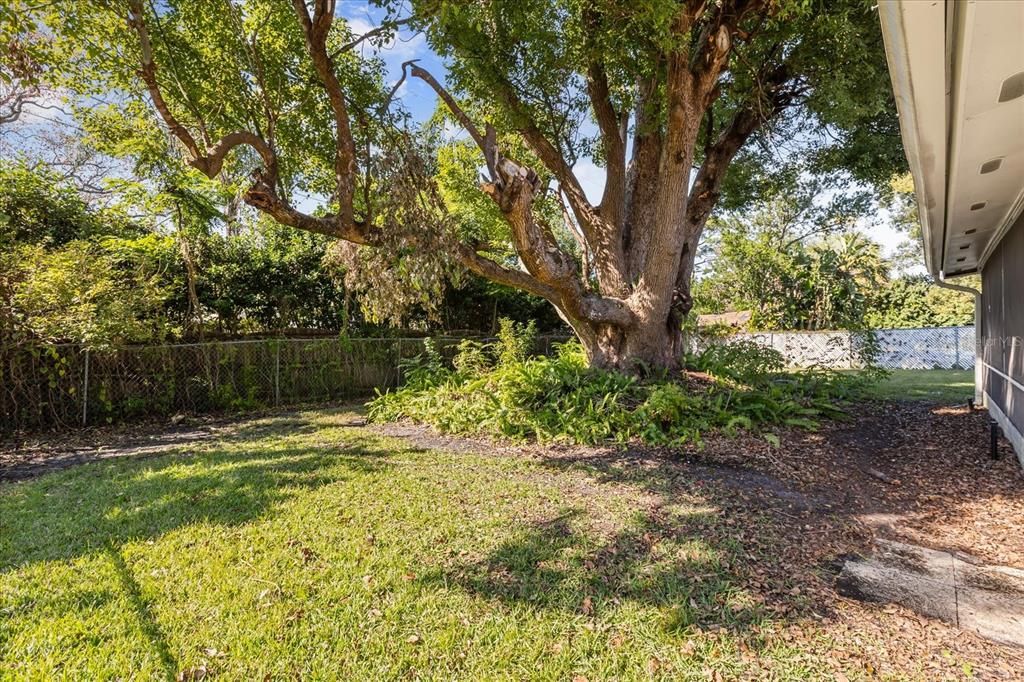 Active With Contract: $395,000 (3 beds, 2 baths, 1516 Square Feet)