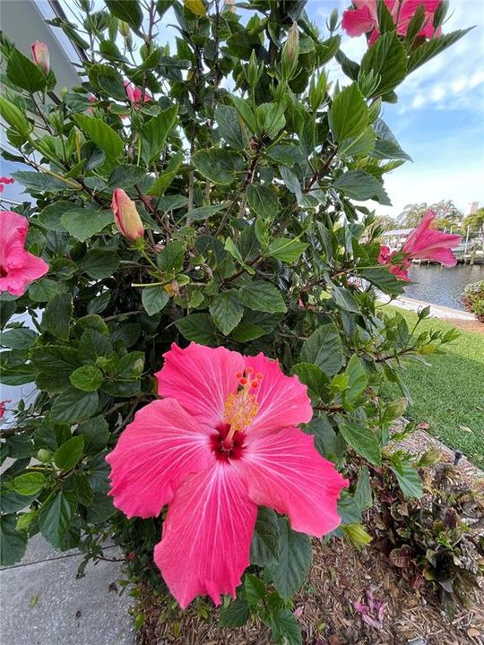 На продажу: $949,000 (2 спален, 2 ванн, 1604 Квадратных фут)