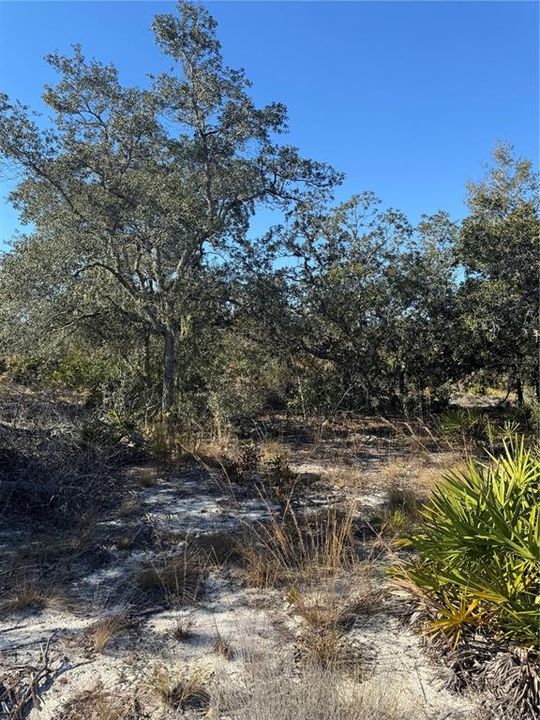 For Sale: $47,999 (3.50 acres)