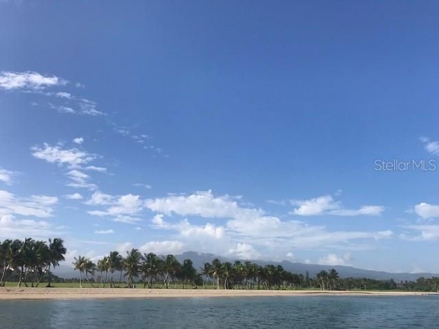 For Sale: $699,000 (4 beds, 3 baths, 2085 Square Feet)