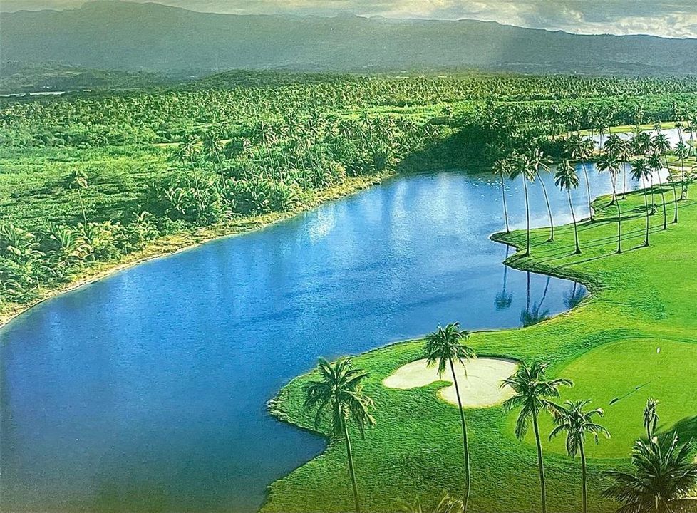 For Sale: $699,000 (4 beds, 3 baths, 2085 Square Feet)