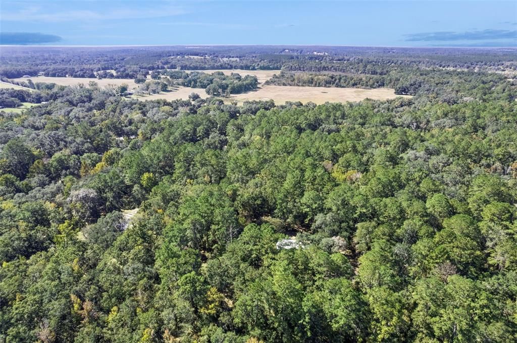 For Sale: $200,000 (3 beds, 2 baths, 1782 Square Feet)